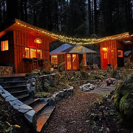Magical Yurt In The Woods - 2 Miles From Town Hotel Nevada City Kültér fotó