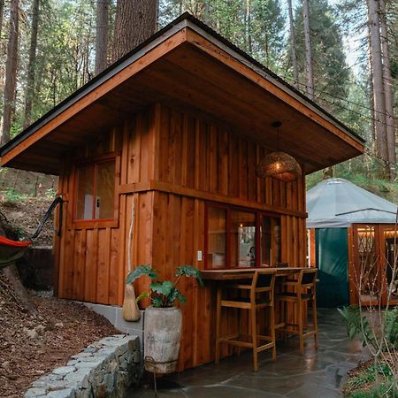 Magical Yurt In The Woods - 2 Miles From Town Hotel Nevada City Kültér fotó