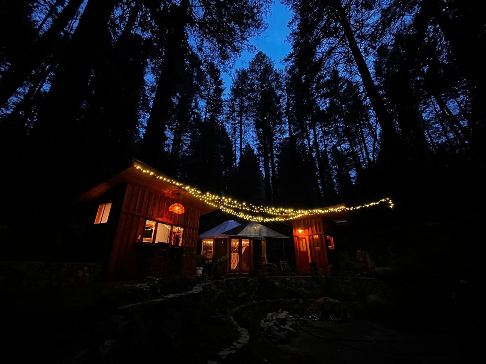 Magical Yurt In The Woods - 2 Miles From Town Hotel Nevada City Kültér fotó