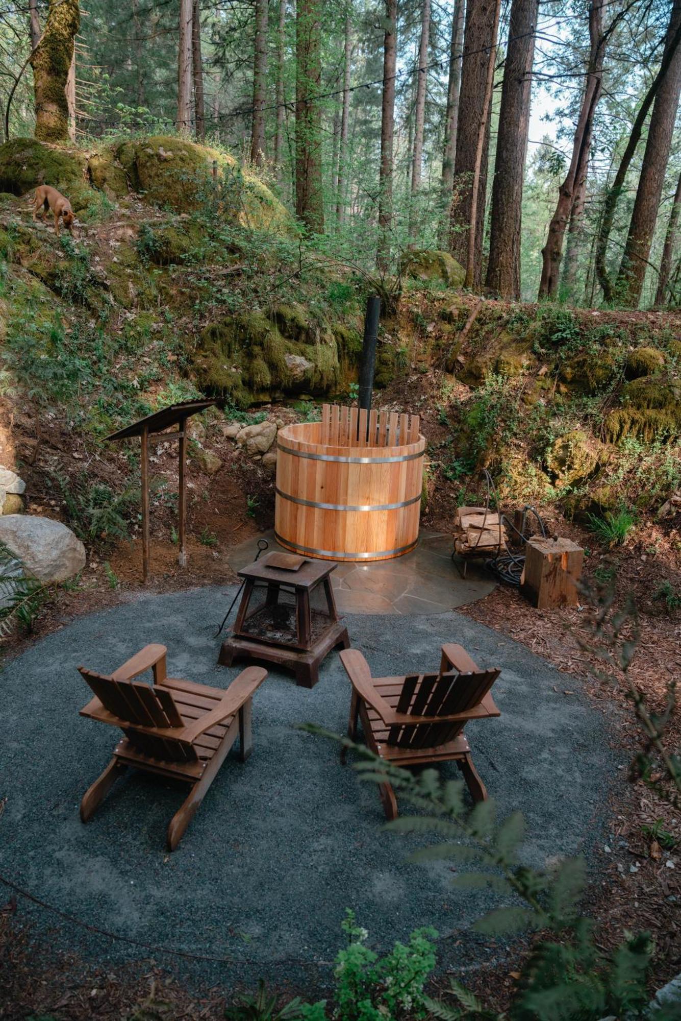 Magical Yurt In The Woods - 2 Miles From Town Hotel Nevada City Kültér fotó