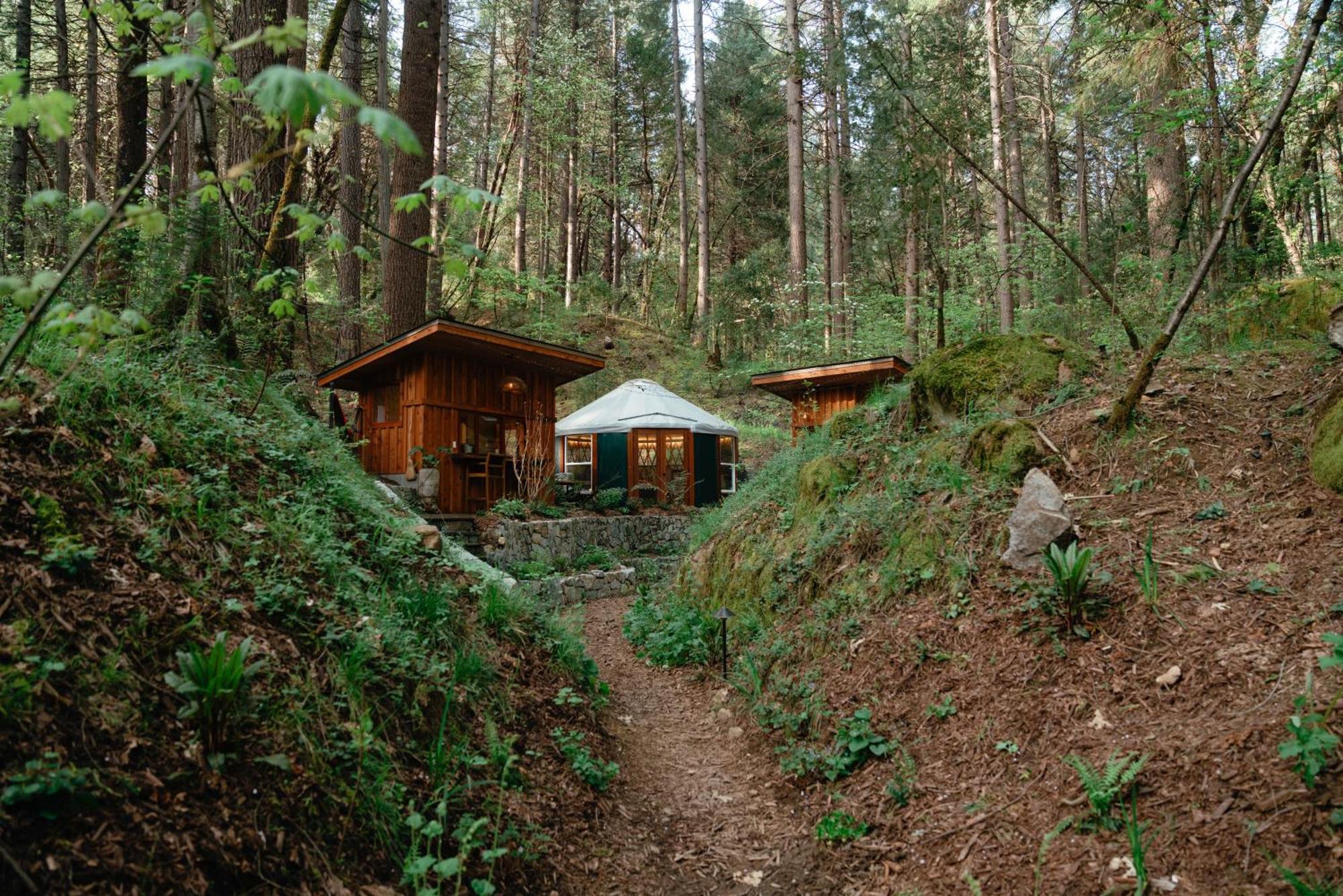 Magical Yurt In The Woods - 2 Miles From Town Hotel Nevada City Kültér fotó