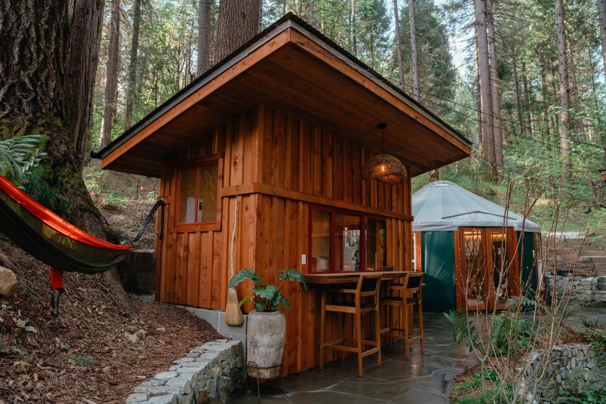 Magical Yurt In The Woods - 2 Miles From Town Hotel Nevada City Kültér fotó